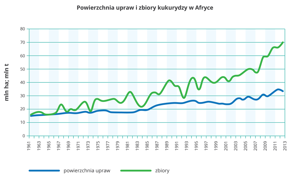 Na ilustracji wykres liniowy. Z lewej strony na osi pionowej opisano wartości od zera do osiemdziesięciu. Na osi pionowej opisano lata od tysiąc dziewięćset sześćdziesiąt jeden do dwa tysiące trzynaście. Liniami przedstawiono powierzchnię upraw – kolor niebieski i zbiory kukurydzy – kolor zielony w Afryce. Ogólna tendencja rosnąca, ale zbiory rosną szybciej niż powierzchnia upraw.