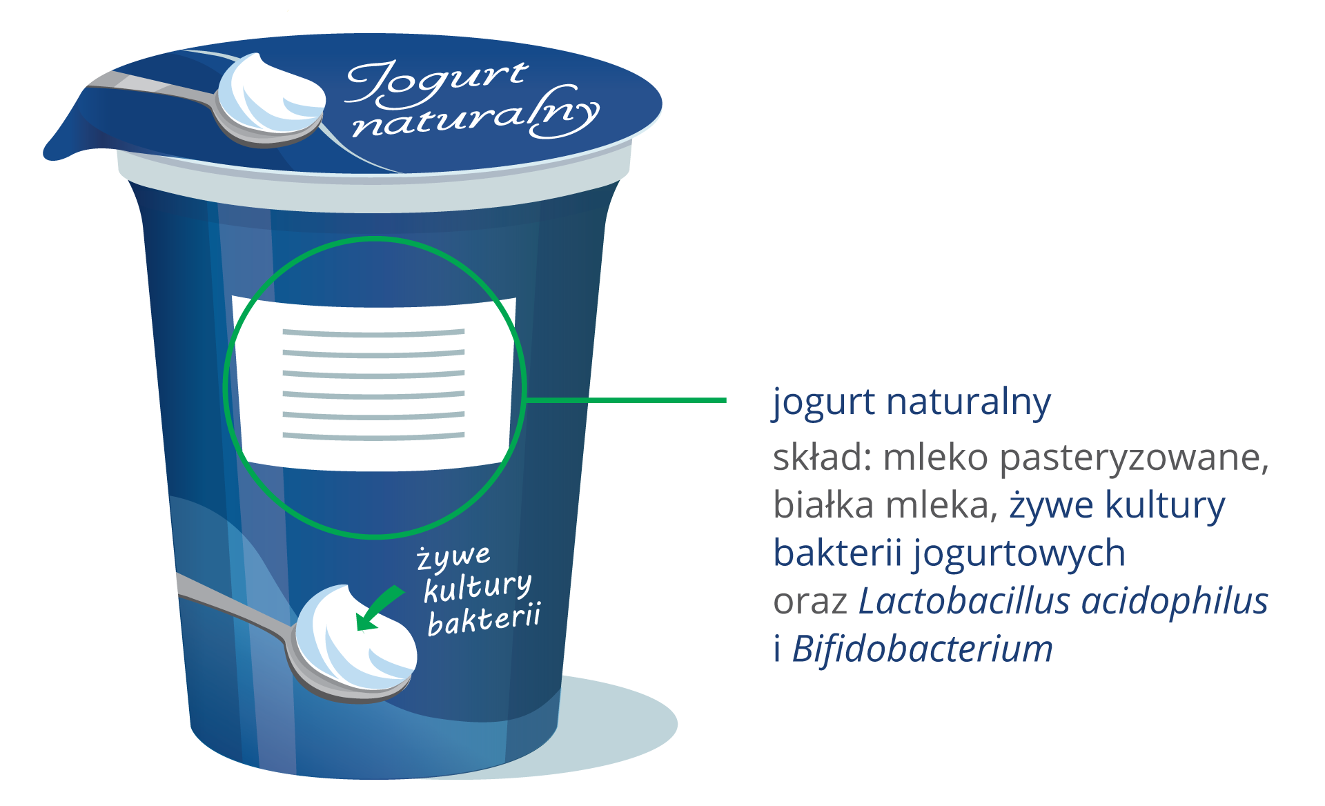 Ilustracja przedstawia niebieski kubeczek jogurtu naturalnego z narysowaną łyżeczką z białą zawartością. Została ona podpisana „żywe kultury bakterii”. Zielonym kółkiem oznaczono etykietę. Z prawej przepisano informacje z etykiety, co znajduje się w jogurcie.