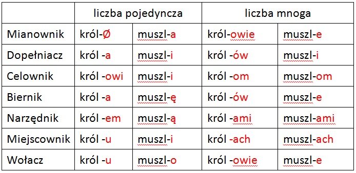 Odmiana rzeczowników Źródło: licencja: CC 0.