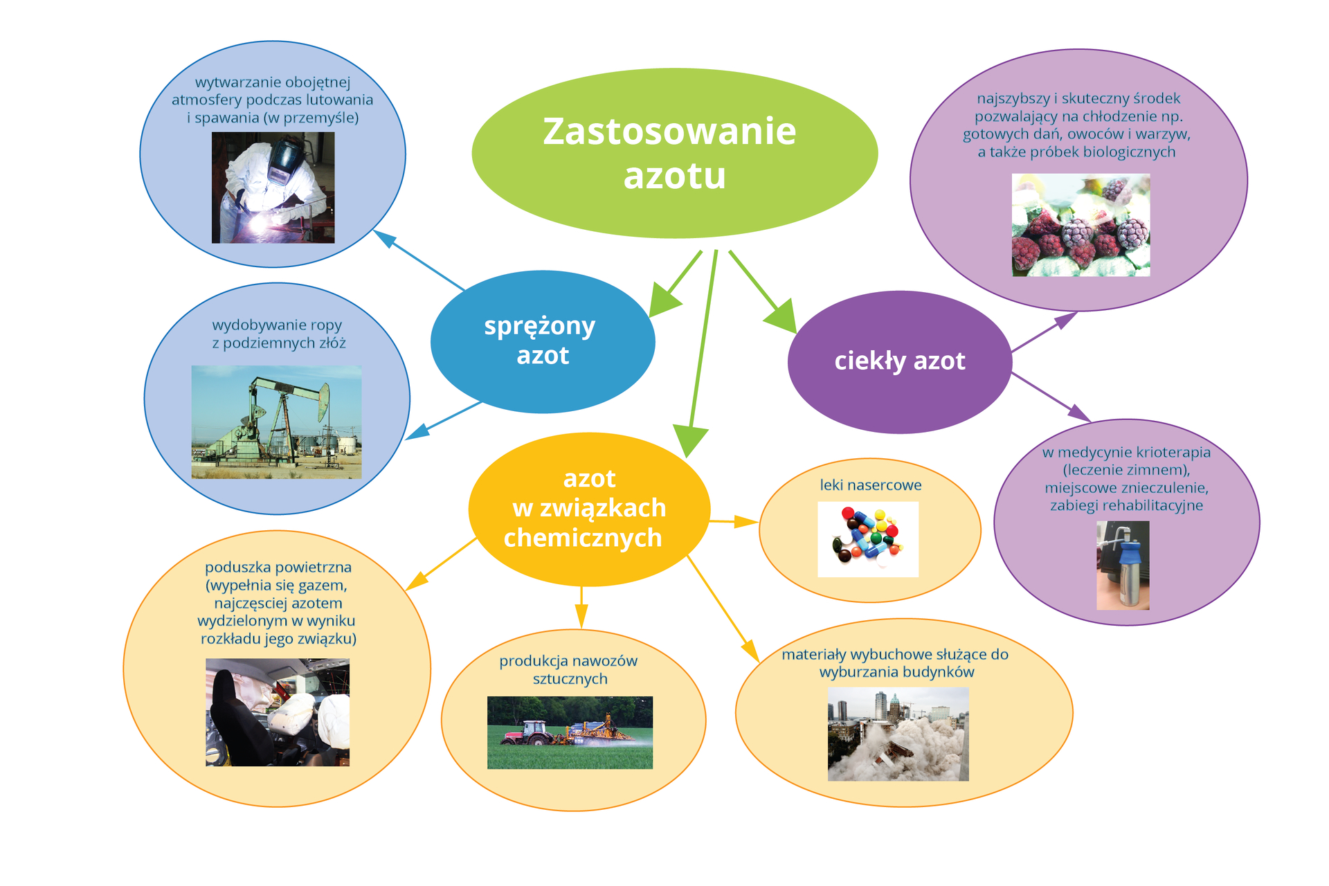 Ilustracja przedstawia schematycznie zastosowanie azotu. W centralnej górnej części planszy znajduje się zielona elipsa z napisem Zastosowanie azotu. Odchodzą od niej w dół trzy zielone strzałki prowadzące do kolejnych elips. Licząc od lewej są to: niebieska elipsa z napisem sprężony azot. Odchodzą od niej dwie kolejne niebieskie strzałki do dwóch jasnoniebieskich pól z ilustracjami podpisanych jako: wytwarzanie obojętnej atmosfery podczas lutowania i spawania w przemyśle oraz wydobywanie ropy z podziemnych złóż. Druga zielona strzałka prowadzi do pomarańczowej elipsy z napisem azot w związkach chemicznych. Odchodzą od niej cztery kolejne pomarańczowe strzałki do żółtych pól z ilustracjami podpisanych jako: poduszka powietrzna wypełniająca się gazem, produkcja nawozów sztucznych, materiały wybuchowe służące do wyburzania budynków oraz leki nasercowe. Trzecia zielona strzałka prowadzi do fioletowej elipsy z napisem ciekły azot. Odchodzą od niej dwie kolejne fioletowe strzałki do dwóch różowych pól z ilustracjami podpisanych jako: najszybszy i skuteczny środek pozwalający na chłodzenie np. gotowych dań, owoców i warzyw, a także próbek biologicznych oraz w medycynie krioterapia, miejscowe znieczulenie, zabiegi rehabilitacyjne.