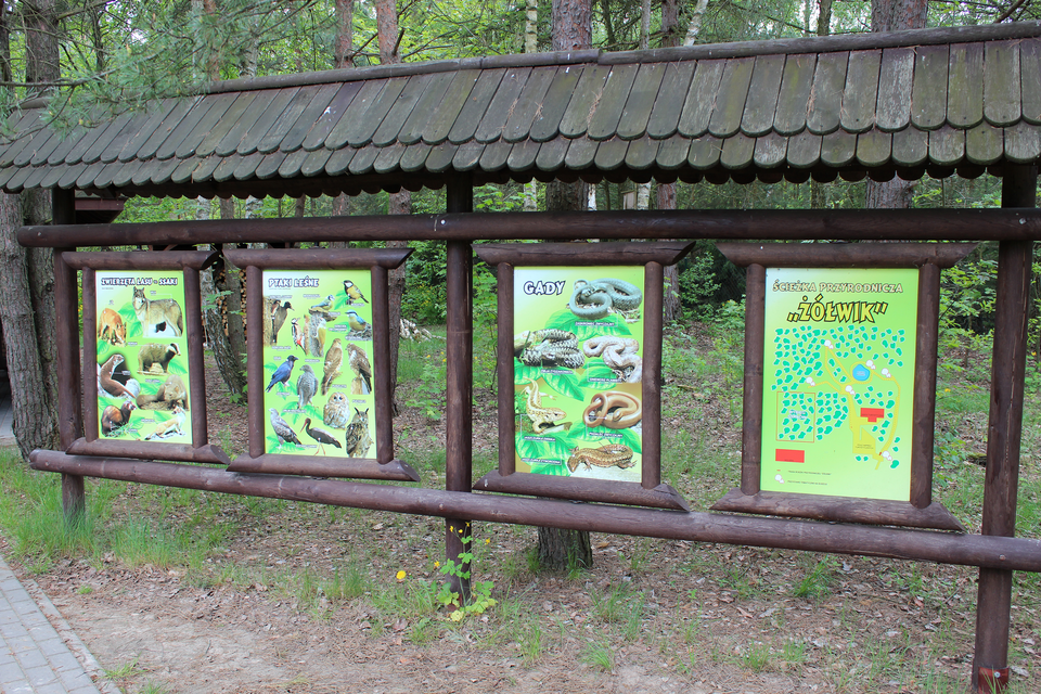 Fotografia prezentuje cztery tablice umieszczone na ścieżce przyrodniczej, na których umieszczono informacje o żyjących tu roślinach, zwierzętach oraz mapę ścieżki przyrodniczej ”Żółwik”