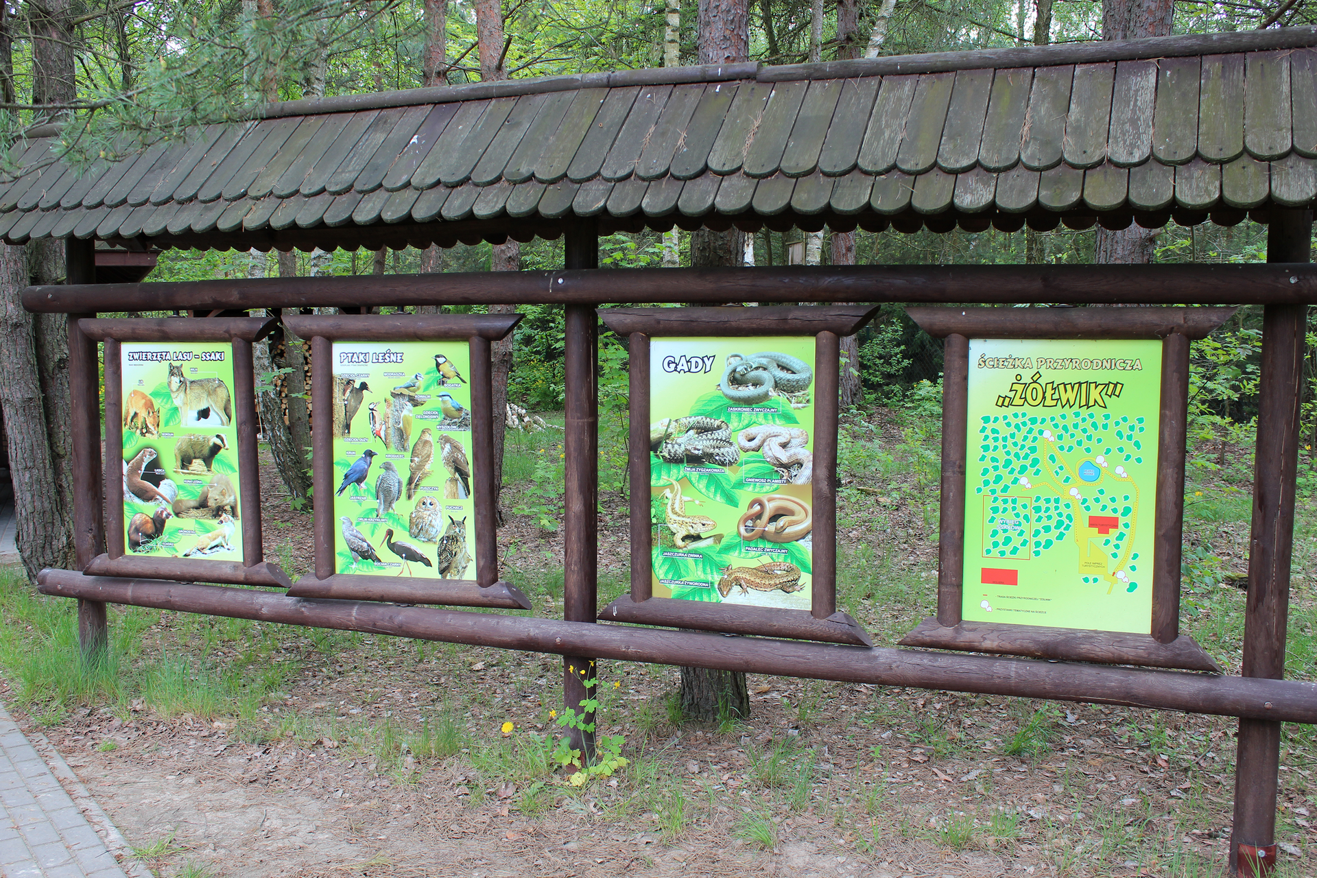 Fotografia prezentuje cztery tablice umieszczone na ścieżce przyrodniczej, na których umieszczono informacje o żyjących tu roślinach, zwierzętach oraz mapę ścieżki przyrodniczej ”Żółwik”