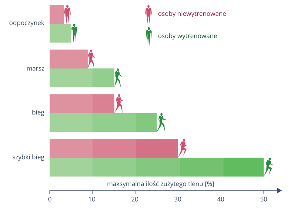 Diagram słupkowy poziomy przedstawia wydolność fizyczną podczas różnych ćwiczeń (oś Y). Wydolność osób wytrenowanych (belki i sylwetki zielone) i niewytrenowanych (belki i sylwetki różowe) mierzono przy pomocy maksymalnego zużycia tlenu, oznaczonego w procentach na osi X. Porównano zużycie tlenu podczas: odpoczynku, marszu, biegu i szybkiego biegu. W każdej z tych aktywności zużycie tlenu osób wytrenowanych było wyższe.
