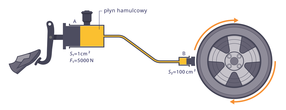 Uproszczony schemat hydraulicznego układu hamulcowego – dwa przekroje o różnych polach powierzchni. Zaznaczona siła nacisku na mniejszą powierzchnię (tłoczek). Powierzchnie tłoków i siła opisane. Dane do opisu: (S1=1cm2 , S2=100cm2 , F1=50N)Ponadto zaznaczone dwa punkty: punkt A tuż pod powierzchnią tłoka o polu S1 oraz punkt B pod powierzchnią tłoka o polu S2.Celem jest graficzna forma prezentacji danych do obliczeń z zastosowaniem prawa Pascal.