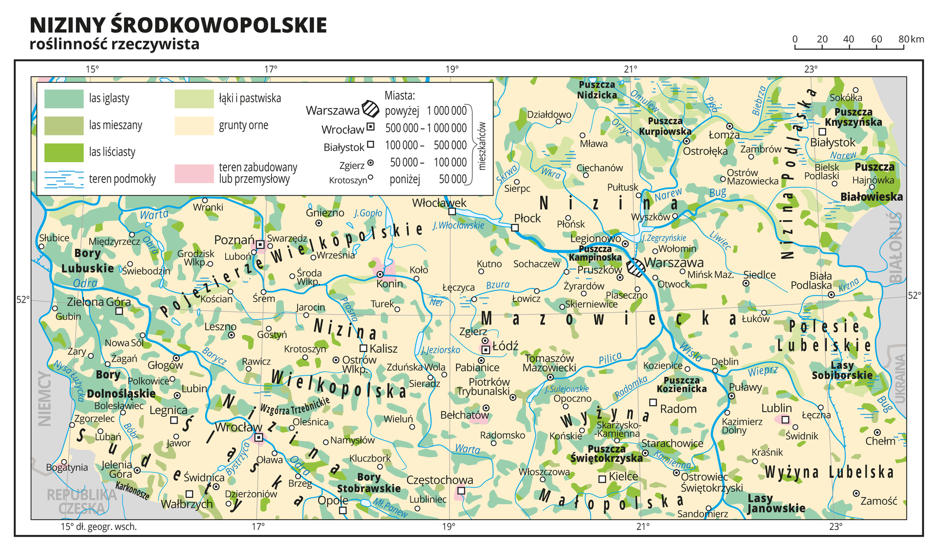 Ilustracja przedstawia fragment mapy Polski obejmujący Niziny Środkowopolskie, na którym przedstawiono roślinność rzeczywistą. Na mapie przeważa kolor beżowy obrazujący grunty orne, na którym równomiernie rozmieszczone są małe plamy koloru zielonego obrazujące występowanie lasów iglastych (kolor ciemnozielony), lasów liściastych (kolor jasnozielony), łąk i pastwisk (kolor bardzo jasny zielony). Oznaczono i opisano miasta, rzeki i jeziora. Opisano pojezierza, niziny, wyżyny i góry oraz państwa sąsiadujące z Polską. Podpisano również większe kompleksy leśne, jak Bory Dolnośląskie, Puszcza Białowieska i tym podobne. Największe skupisko lasów iglastych występuje w rejonie Zielonej Góry. W obrębie dużych miast kolorem różowym oznaczono tereny zabudowane lub przemysłowe. Dookoła mapy w białej ramce opisano współrzędne geograficzne co dwa stopnie. W legendzie mapy objaśniono znaki i barwy użyte na mapie.
