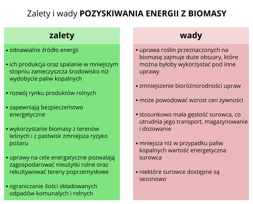 Zalety i wady
