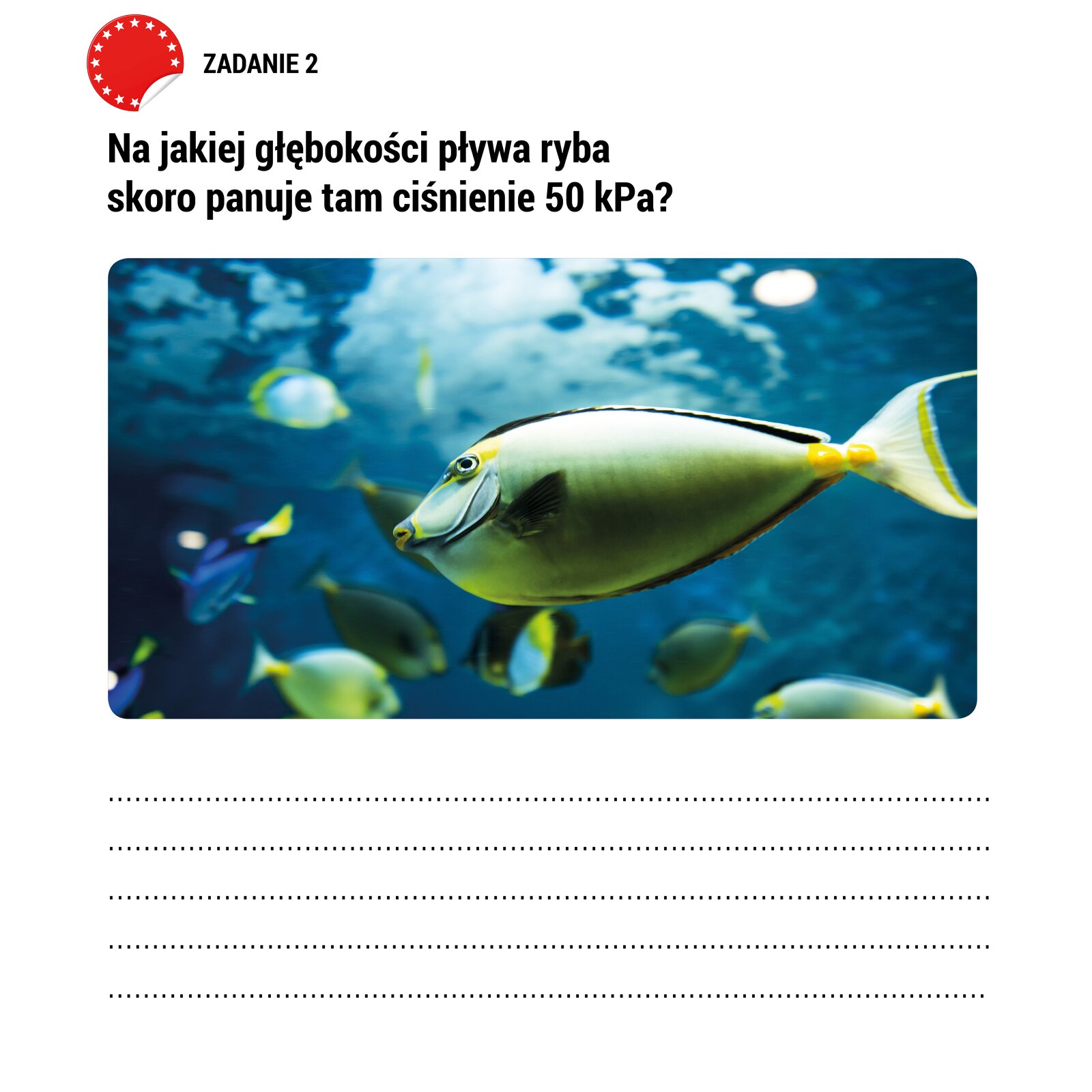 Ilustracja przedstawia pracę domową. Poniżej napisu „ZADANIE 2” napisana jest treść : „ Na jakiej głębokości pływa ryba skoro panuje tam ciśnienie 50 kPa?”. Poniżej treści zadania pokazane jest zdjęcie kolorowych ryb pływających w wodzie. Poniżej fotografii są linie narysowane linią kropkowaną umożliwiające wpisanie własnego tekstu.