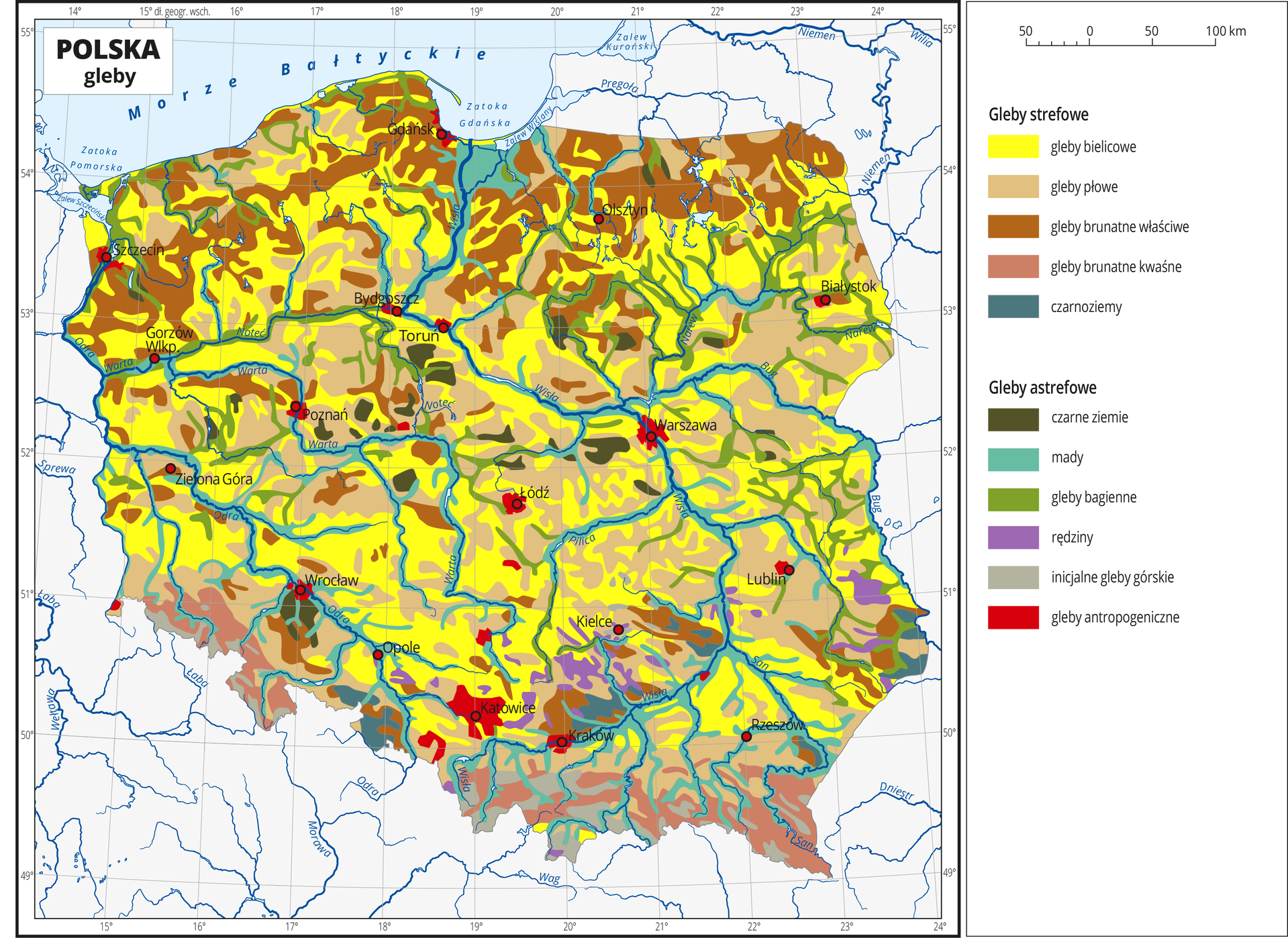 Ilustracja przedstawia mapę Polski. Na mapie kolorami zaznaczono typy gleb. Centralną część Polski zajmują gleby bielicowe oznaczone kolorem żółtym i gleby płowe oznaczone kolorem beżowym. Na północy przeważają gleby brunatne właściwe i kwaśne oznaczone dwoma odcieniami koloru brązowego. Wzdłuż rzek występują mady (kolor turkusowy) i gleby bagienne (kolor zielony). Czerwonymi kropkami zaznaczono miasta wojewódzkie. Opisano rzeki. Po prawej stronie mapy w legendzie umieszczono w pionie jedenaście kolorowych prostokątów, które opisano nazwami gleb. Wydzielono pięć rodzajów gleb strefowych: bielicowe, płowe, brunatne właściwe, brunatne kwaśne i czarnoziemy oraz sześć rodzajów gleb astrefowych: czarne ziemie, mady, gleby bagienne, rędziny, inicjalne gleby górskie i gleby antropogeniczne. Gleby astrefowe rozmieszczone są nierównomiernie, gleby antropogeniczne występują wokół miast.