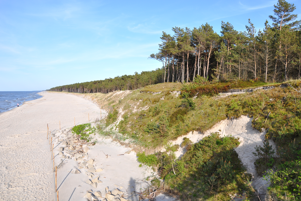 Fotografia prezentuje fragment pobrzeża z plażą oraz klifami. Na klifie rosną liczne drzewa iglaste.