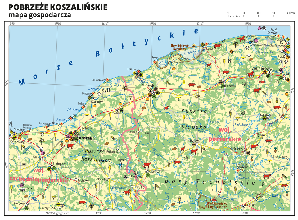 Ilustracja przedstawia mapę gospodarczą Pobrzeża Koszalińskiego. Tło mapy w kolorze żółtym (grunty orne), jasnozielonym (łąki i pastwiska) i zielonym (lasy). Na mapie sygnatury obrazujące uprawy poszczególnych roślin, hodowlę zwierząt, przemysł, górnictwo i energetykę, komunikację, turystykę, naukę, kulturę i sztukę. Na północy Morze Bałtyckie. Mapa obejmuje tereny od Kołobrzegu na zachodzie po Władysławowo na wschodzie. Miejscowości nadmorskie oznaczone sygnaturą turystyki wypoczynkowej. Największe zagęszczenie pozostałych sygnatur w Koszalinie, duże zagęszczenie sygnatur w Słupsku. Na mapie przedstawiono sieć dróg i kolei, porty wodne i lotnicze, granice województw. Opisano województwo zachodniopomorskie i województwo pomorskie. Opisano kompleksy leśne i parki narodowe. Mapa zawiera południki i równoleżniki, dookoła mapy w białej ramce opisano współrzędne geograficzne co trzydzieści minut.