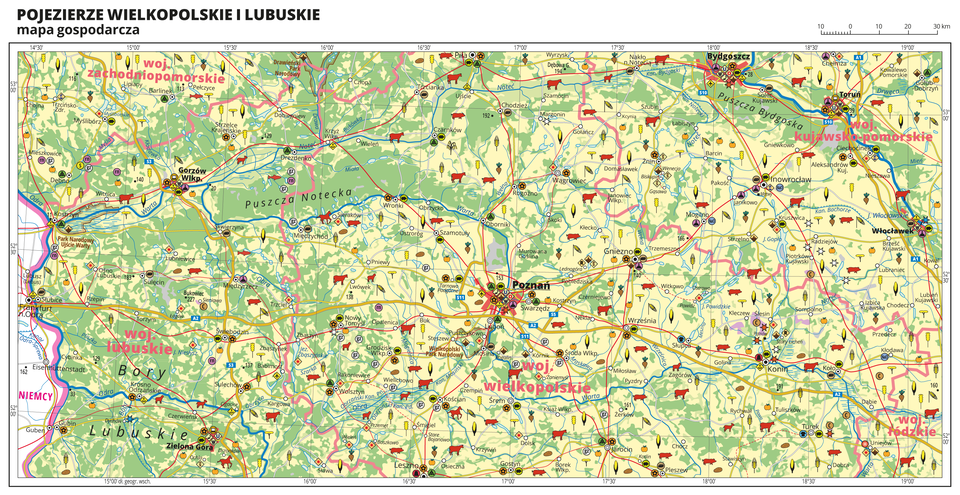 Ilustracja przedstawia mapę gospodarczą Pojezierza Wielkopolskiego i Lubuskiego. Tło mapy w kolorze żółtym (grunty orne), jasnozielonym (łąki i pastwiska) i zielonym (lasy). Na mapie sygnatury obrazujące uprawy poszczególnych roślin, hodowlę zwierząt, przemysł, górnictwo i energetykę, komunikację, turystykę, naukę, kulturę i sztukę. Największe zagęszczenie sygnatur w Poznaniu i Bydgoszczy, duże zagęszczenie sygnatur w Toruniu, Włocławku, Koninie, Zielonej Górze i Gorzowie Wielkopolskim. Mapa obejmuje tereny Polski od granicy z Niemcami na zachodzie po Toruń i Włocławek na wschodzie, na północy sięgając Bydgoszczy, a na południu Leszna. Na mapie przedstawiono sieć dróg i kolei, porty wodne i lotnicze, granice województw, granicę państwa. Opisano województwa zachodniopomorskie, kujawsko-pomorskie, łódzkie, wielkopolskie i lubuskie. Opisano Niemcy. Opisano kompleksy leśne, na przykład Puszczę Notecką i parki narodowe. Mapa zawiera południki i równoleżniki, dookoła mapy w białej ramce opisano współrzędne geograficzne co trzydzieści minut.