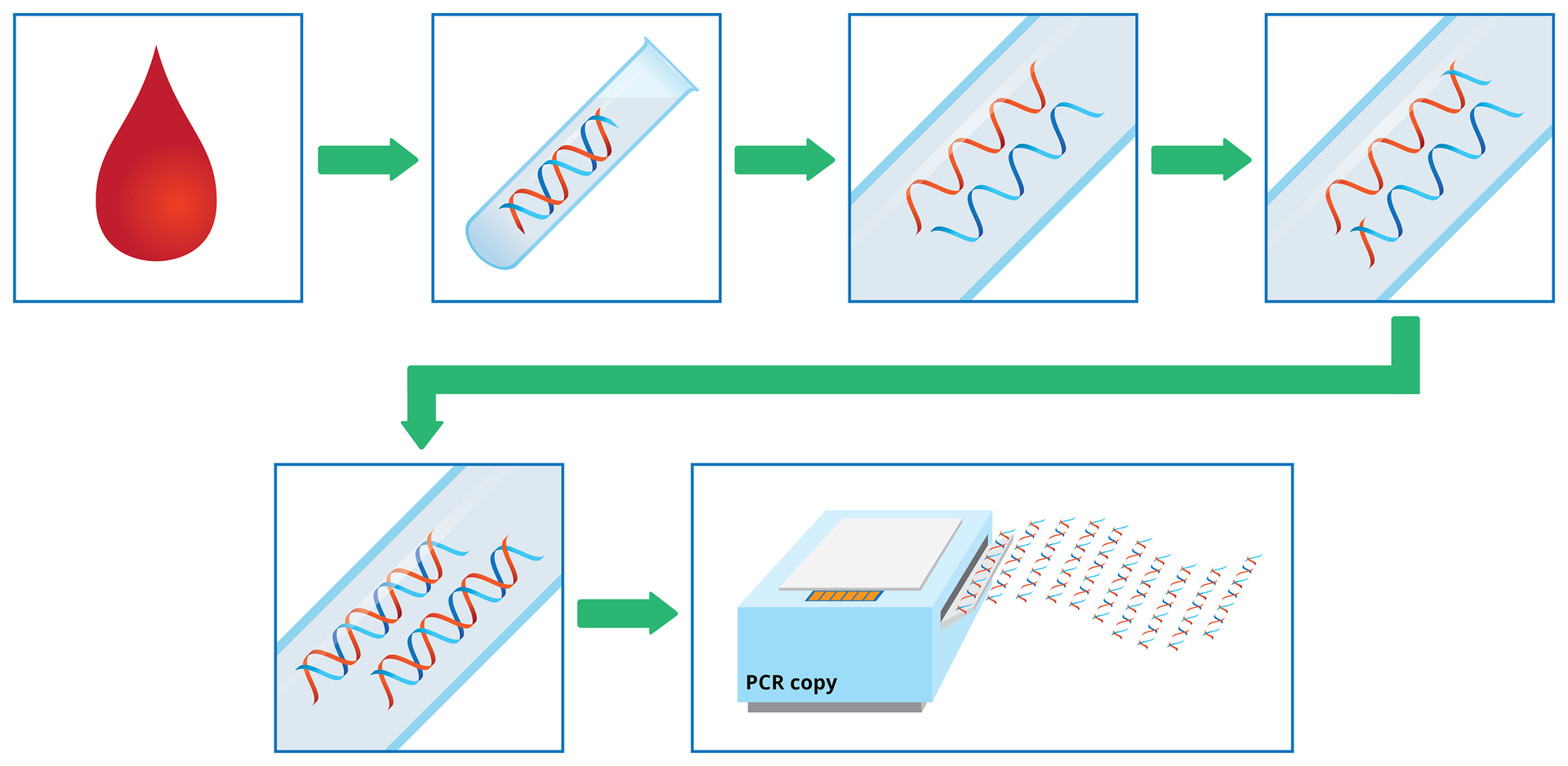 PCR
