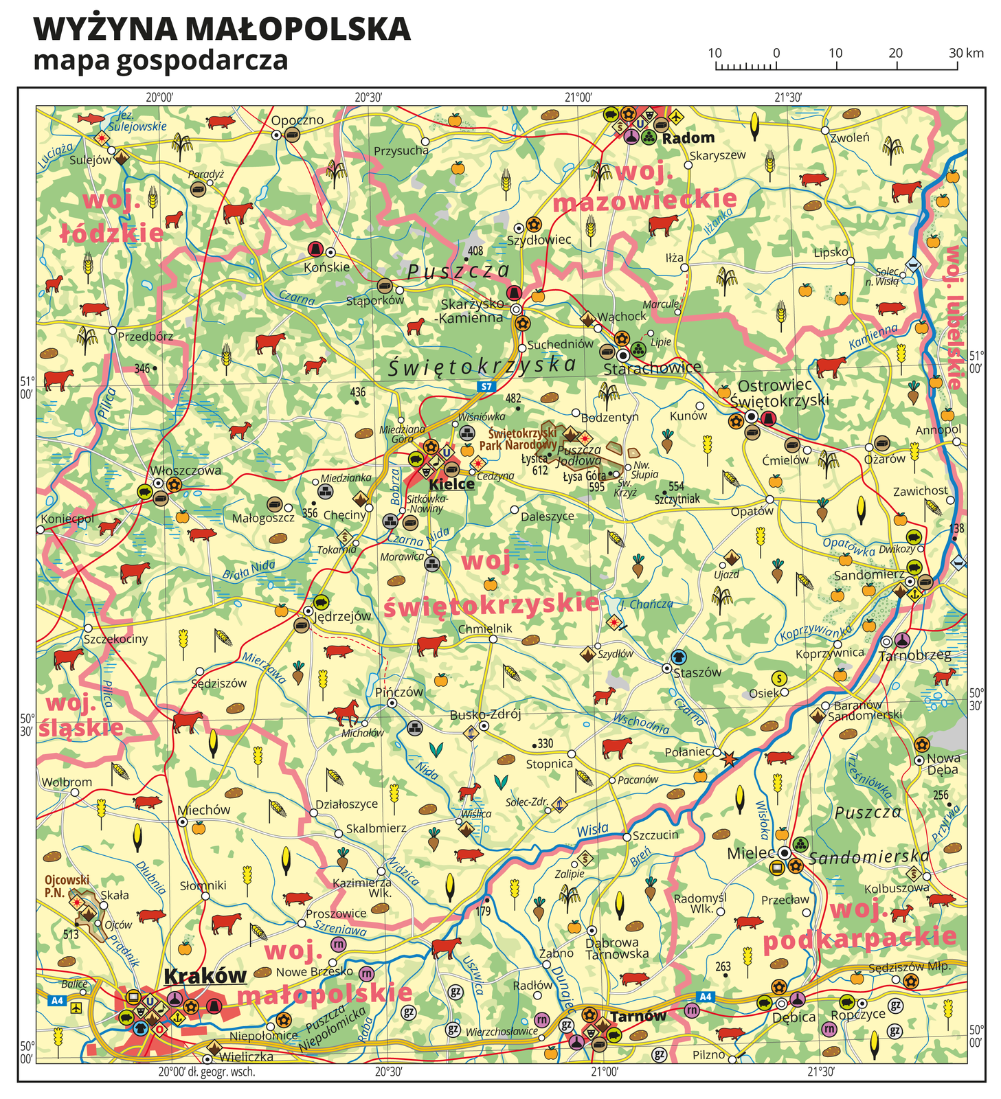 Ilustracja przedstawia mapę gospodarczą Wyżyny Małopolskiej. Tło mapy w kolorze żółtym (grunty orne), jasnozielonym (łąki i pastwiska) i zielonym (lasy). W środkowej części mapy Kielce. Mapa obejmuje tereny od Radomia na północy po Kraków i Tarnów na południu. Na mapie sygnatury obrazujące uprawy poszczególnych roślin, hodowlę zwierząt, przemysł, górnictwo i energetykę, komunikację, turystykę, naukę, kulturę i sztukę. Największe zagęszczenie sygnatur w Krakowie, Tarnowie, Radomiu i Kielcach. Duże zagęszczenie sygnatur w Ostrowcu Świętokrzyskim, Starachowicach, Sandomierzu i Mielcu. Na obszarze całej mapy rozmieszczone sygnatury hodowli i upraw. Na mapie przedstawiono sieć dróg i kolei, porty wodne i lotnicze, granice województw. Opisano województwa łódzkie, śląskie, świętokrzyskie, małopolskie, mazowieckie, podkarpackie i lubelskie. Opisano kompleksy leśne, na przykład Puszcza Świętokrzyska i parki narodowe.Mapa zawiera południki i równoleżniki, dookoła mapy w białej ramce opisano współrzędne geograficzne co trzydzieści minut.