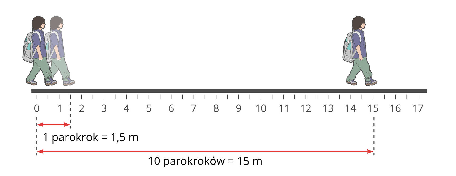 Ilustracja przedstawia sposób wyznaczania długości własnego parokroku. W dole ilustracji podziałka liczbowa. Pozioma linia z podziałką wskazującą co pół metra. Początek podziałki na lewym końcu. Podziałka z liczbą metrów od zera po lewej do siedemnastu na prawym końcu. Opisana co druga kreska podziałki. Poniżej lewego końca czerwona pozioma strzałka wyznacza długość parokroku. Groty strzałki wskazują odległość półtora metra. Poniżej podpis: jeden parokrok równa się półtora metra. Poniżej dłuższa pozioma strzałka. Groty strzałki wskazują odległość od zera do piętnastu metrów. Poniżej podpis: dziesięć parokroków równa się piętnaście metrów. Powyżej linii rysunek idącego ucznia. Uczeń idzie do przodu, z lewego końca podziałki w prawą stronę ilustracji. Postać ucznia narysowana jest także nad cyfrą piętnaście, czyli po przejściu piętnastu metrów.