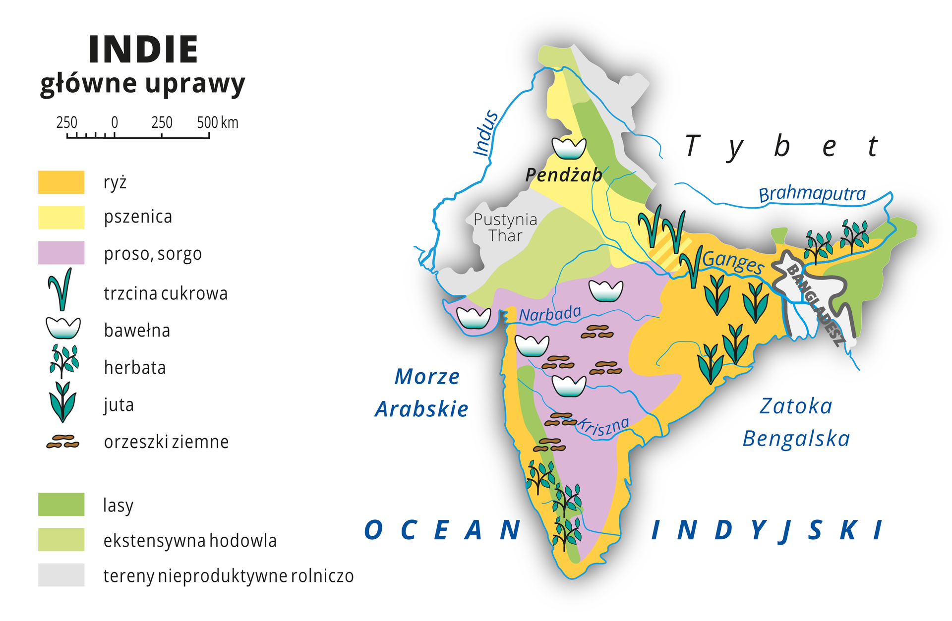 Ilustracja przedstawia mapę rolnictwa Indii. Na mapie kolorami i sygnaturami przedstawiono główne uprawy. W centrum – proso, sorgo, orzeszki ziemne i bawełna. Na zachodnich wybrzeżach ryż i herbata, na wschodzie, w dorzeczu Gangesu i Brahmaputry – ryż, juta, trzcina cukrowa i herbata. Na północy – pszenica, bawełna, tereny leśne i nieproduktywne rolniczo (Pustynia Thar). W legendzie opisano kolory i znaki użyte na mapie.