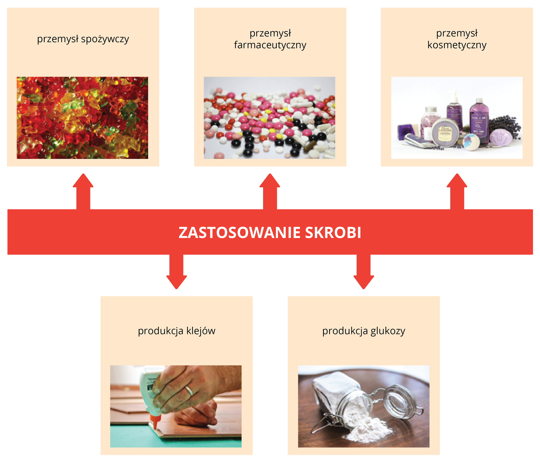 Zastosowania skrobi