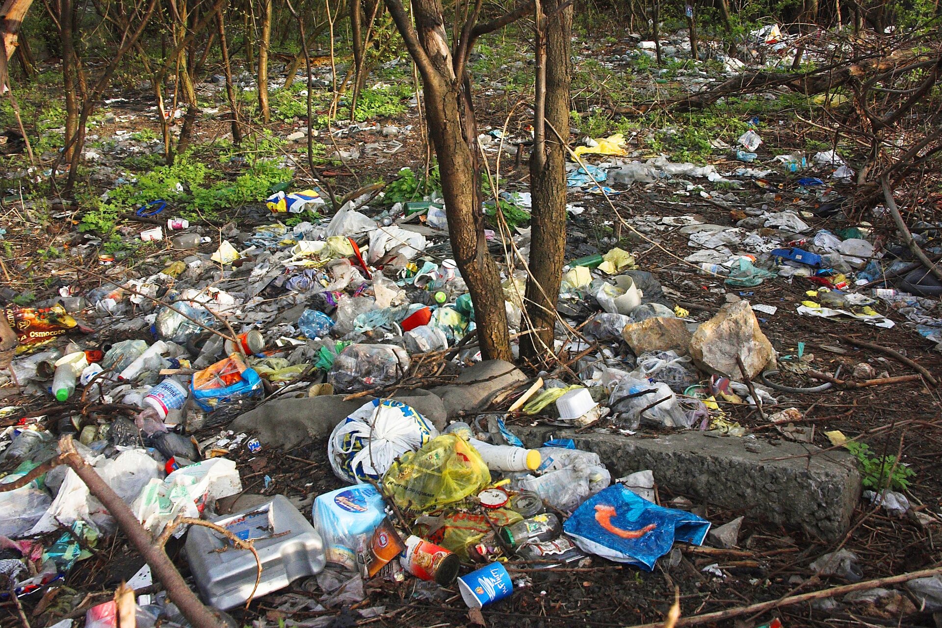 Na ziemi w lesie leży mnóstwo porozrzucanych śmieci – plastikowych butelek, kolorowych folii, słoików, puszek. Jest to nielegalne wysypisko śmieci.
