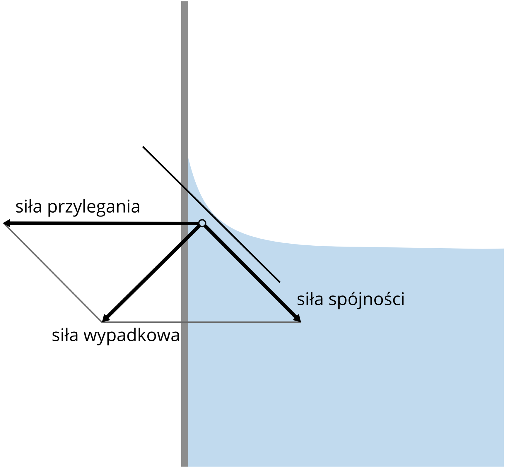 Ilustracja przedstawia mechanizm powstawania menisku wklęsłego. Schemat przedzielony na pół ponową linią. Linia szara. Lewa część schematu cała biała. Prawa część w górnej połowie biała. Dolna część błękitna. Prawa część schematu imituje szklankę z wodą. Powierzchnia wody w środkowej części płaska. Tuż przy krawędzi ściany, powierzchnia wody delikatnie unosi się. Powierzchnia wody i krawędź ściany nie tworzą kąta prostego. Na schemacie oznaczono strzałkami wektory trzech sił. Siły przylegania, siły spójności i siły wypadkowej.