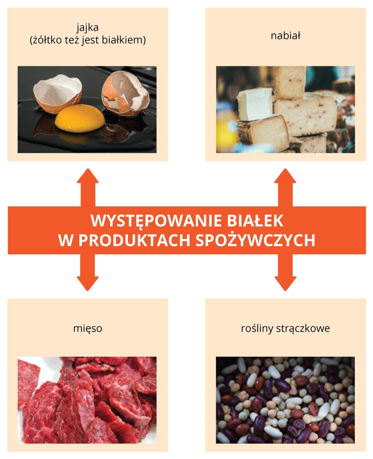 Występowanie białek