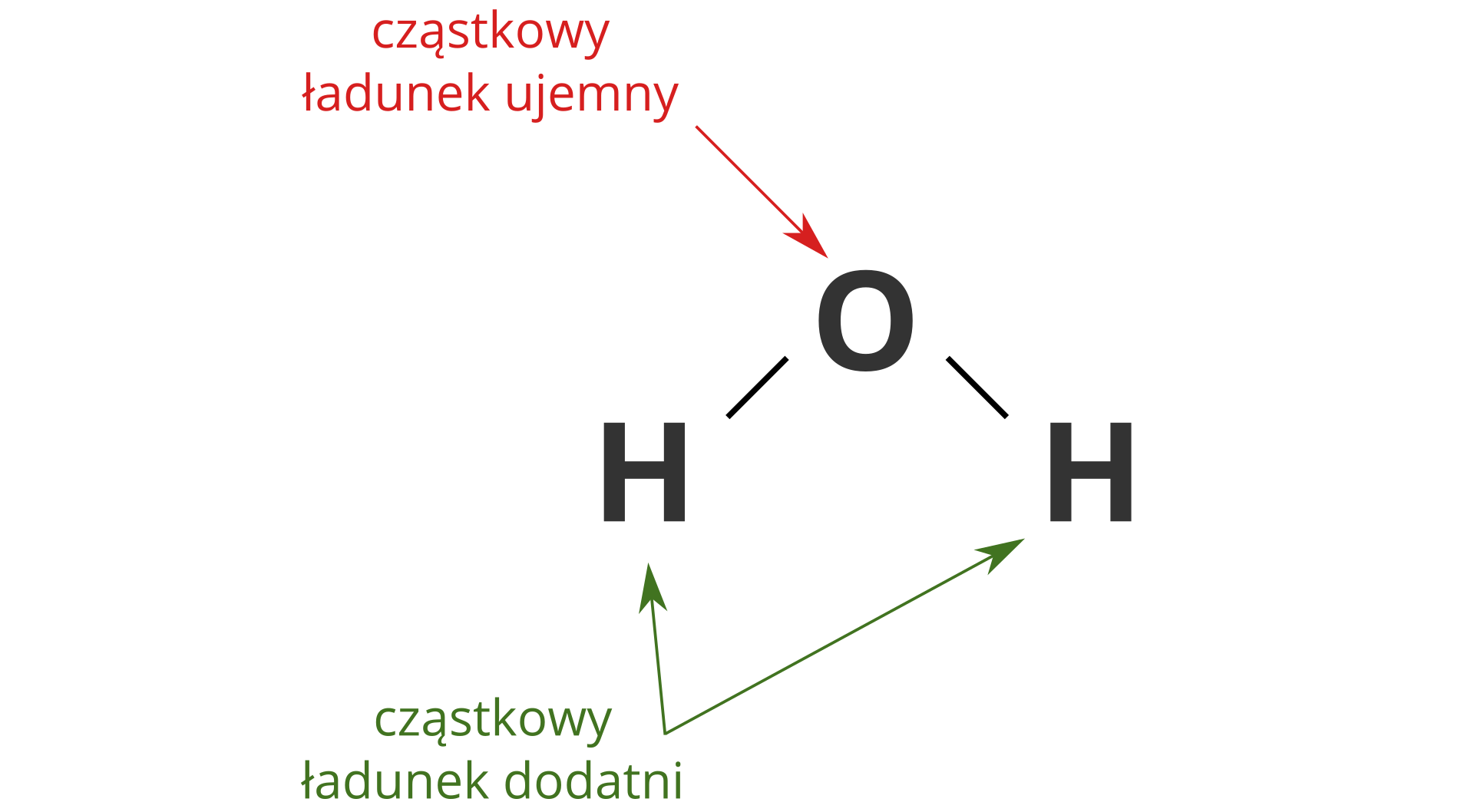 Ilustracja przedstawia zapisaną strukturalnie cząsteczkę wody. Symbol atomu tlenu pośrodku planszy, symbole atomów wodoru po bokach poniżej, pojedyncze kreski symbolizujące wiązania. U góry planszy czerwony napis Cząstkowy ładunek ujemny i czerwona strzałka prowadząca do symbolu tlenu. U dołu planszy zielony napis Cząstkowy ładunek dodatni i zielone strzałki prowadzące do symboli wodoru.