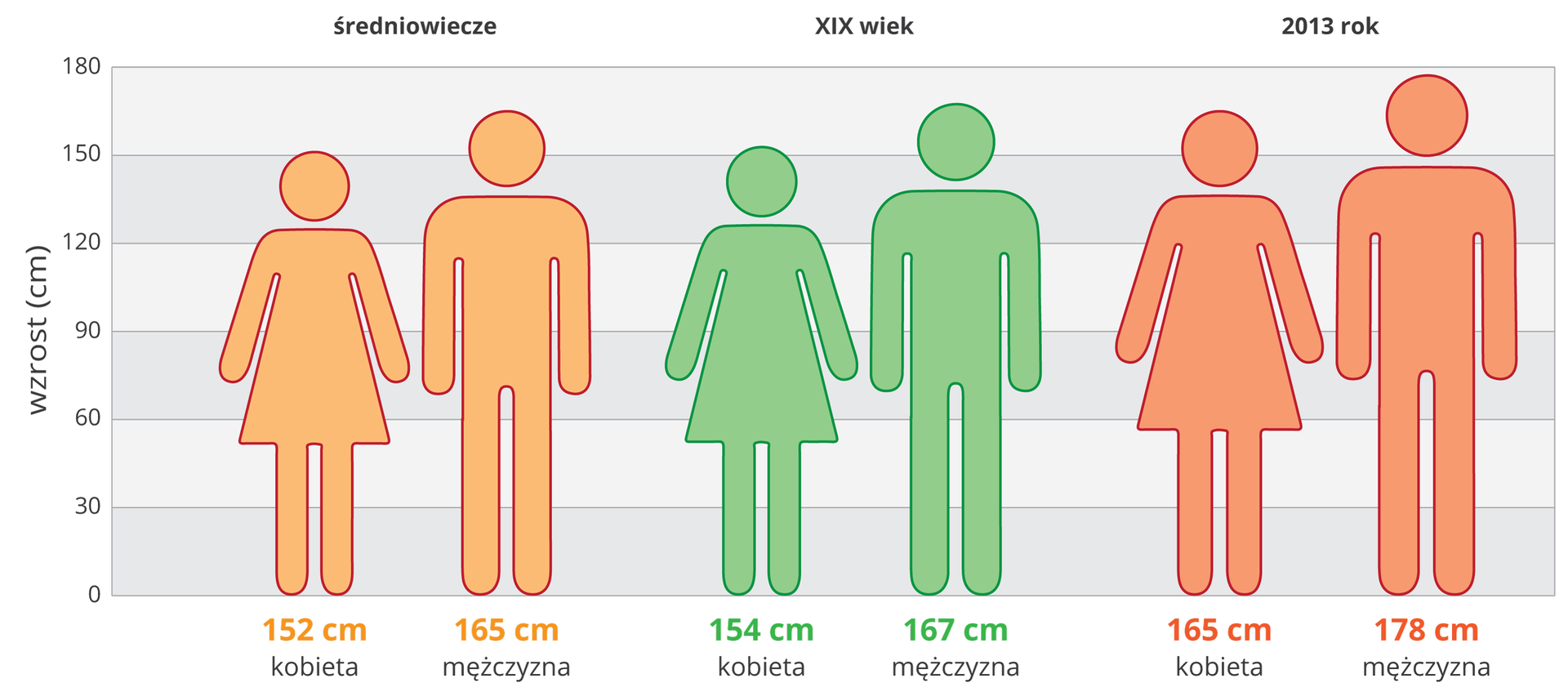 Ilustracja przestawia schematycznie porównanie wzrostu ludzi wróżnych wiekach. Diagram ma szare i białe pasy, o szerokości 30cm, od 0 do 180cm. Podpisane z lewej wzrost w centymetrach. Pomarańczowe sylwetki ludzi ze średniowiecza. Kobieta 152 cm, mężczyzna 165 cm. Zielone sylwetki ludzi z dziewiętnastego wieku. Kobieta wzrost 154 cm, mężczyzna 167 cm. Czerwone sylwetki ludzi współczesnych, kobieta 165 cm, mężczyzna 178 cm.