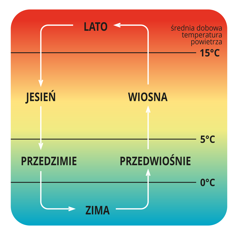 Na ilustracji schemat pór roku lato, jesień, przedzimie, zima, przedwiośnie, wiosna. Oznaczona średnia dobowa temperatura powietrza dla poszczególnych pór roku.