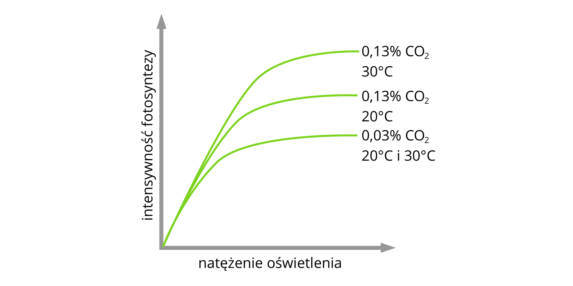 Wykres zależności intensywności fotosyntezy (oś Y) od natężenia oświetlenia (oś X). Intensywność fotosyntezy jest najniższa dla 0,03% CO2 20 i 30 stopni Celsjusza,. Intensywność fotosyntezy jest większa dla 0,13% CO2 i 20 stopni Celsjusza. Intensywność fotosyntezy jest największa dla 0,13% CO2 i 30 stopni Celsjusza.