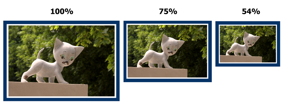 Rysunek trzech tych samych zdjęć w różnych wymiarach: w skali 100%, 75% oraz 54%.