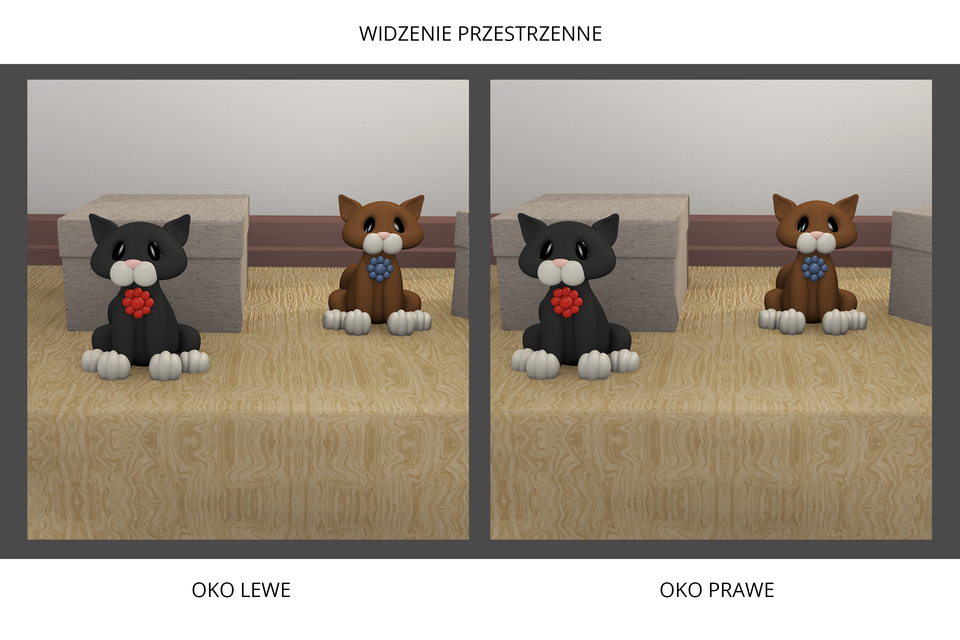 Grafika ukazująca powstawanie obrazu trójwymiarowego – widoczne obiekty oglądane przez lewe i prawe oko; widać, że oglądane obrazy różnią się od siebie