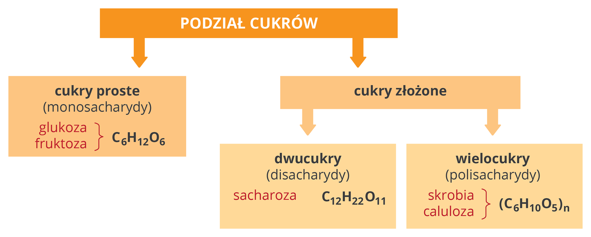 Podział cukrów