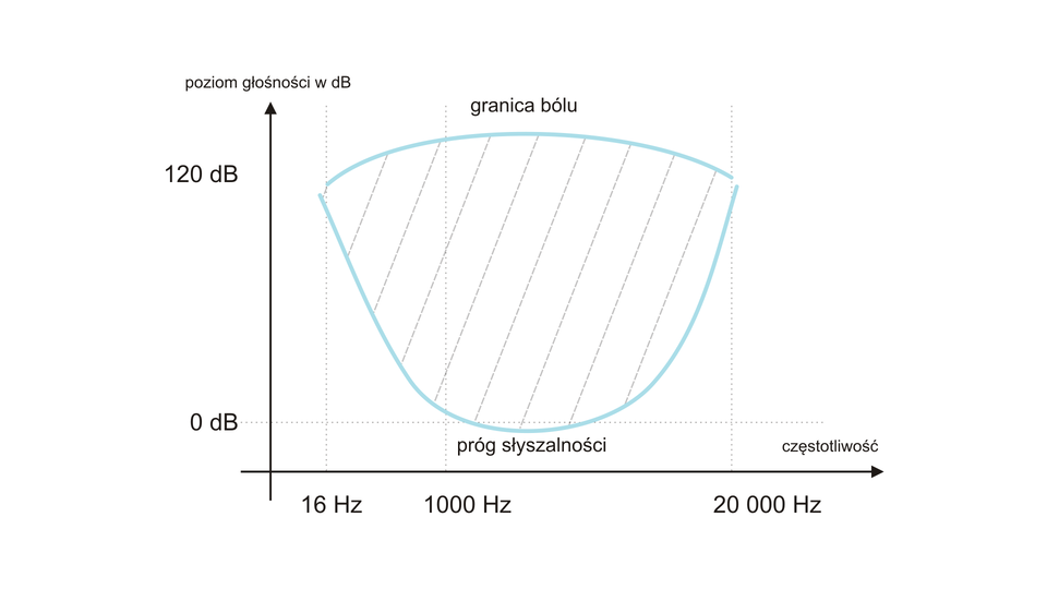 Zakres słyszalności ludzkiego ucha