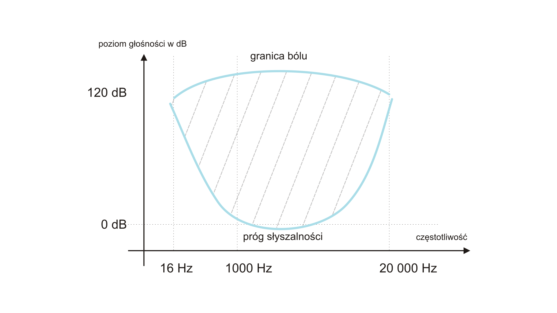 Zakres słyszalności ludzkiego ucha