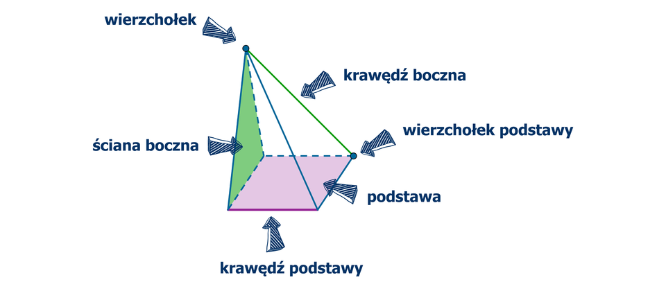 Rysunek ostrosłupa. Zaznaczona podstawa, krawędź boczna, ściana boczna, wierzchołek ostrosłupa, wierzchołek podstawy i krawędź podstawy.