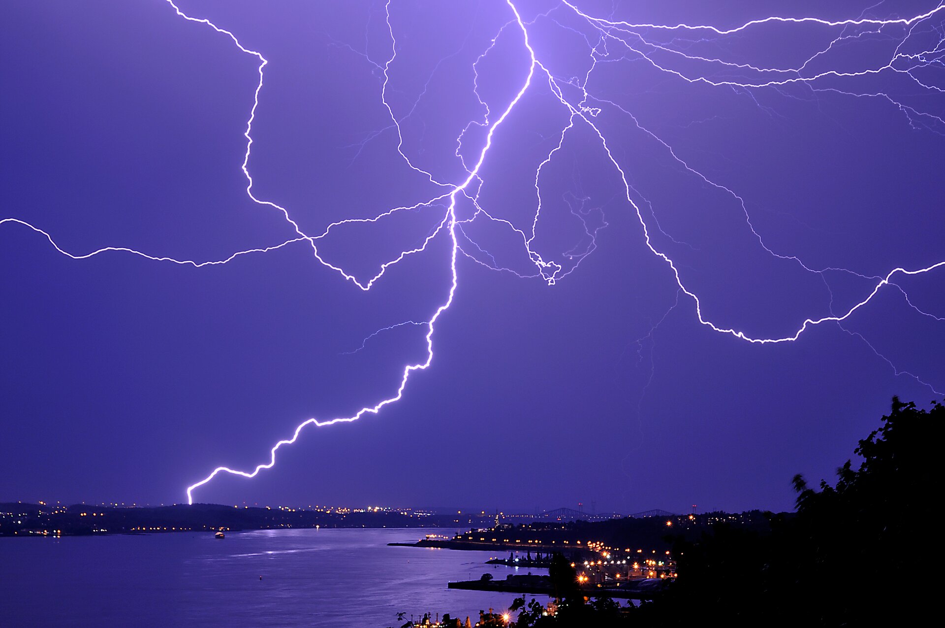Na fotografii widoczne nocne bezchmurne niebo z rozbiegającymi się w różnych kierunkach białymi błyskawicami