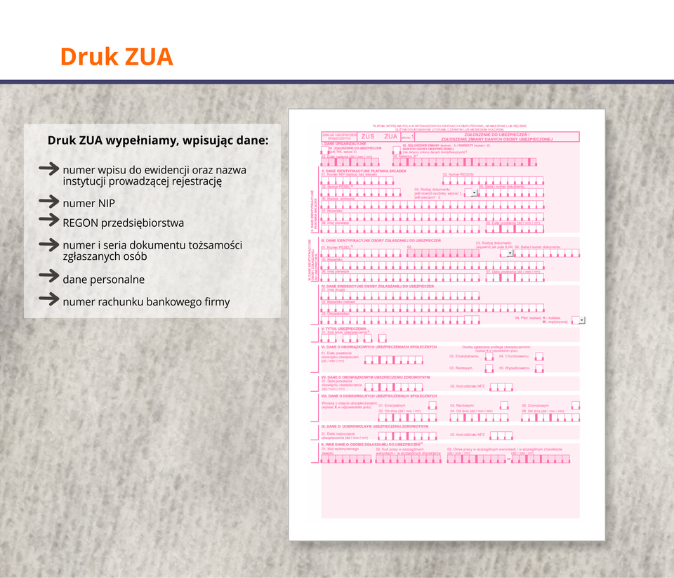 Ilustracja przedstawia druk ZUA.