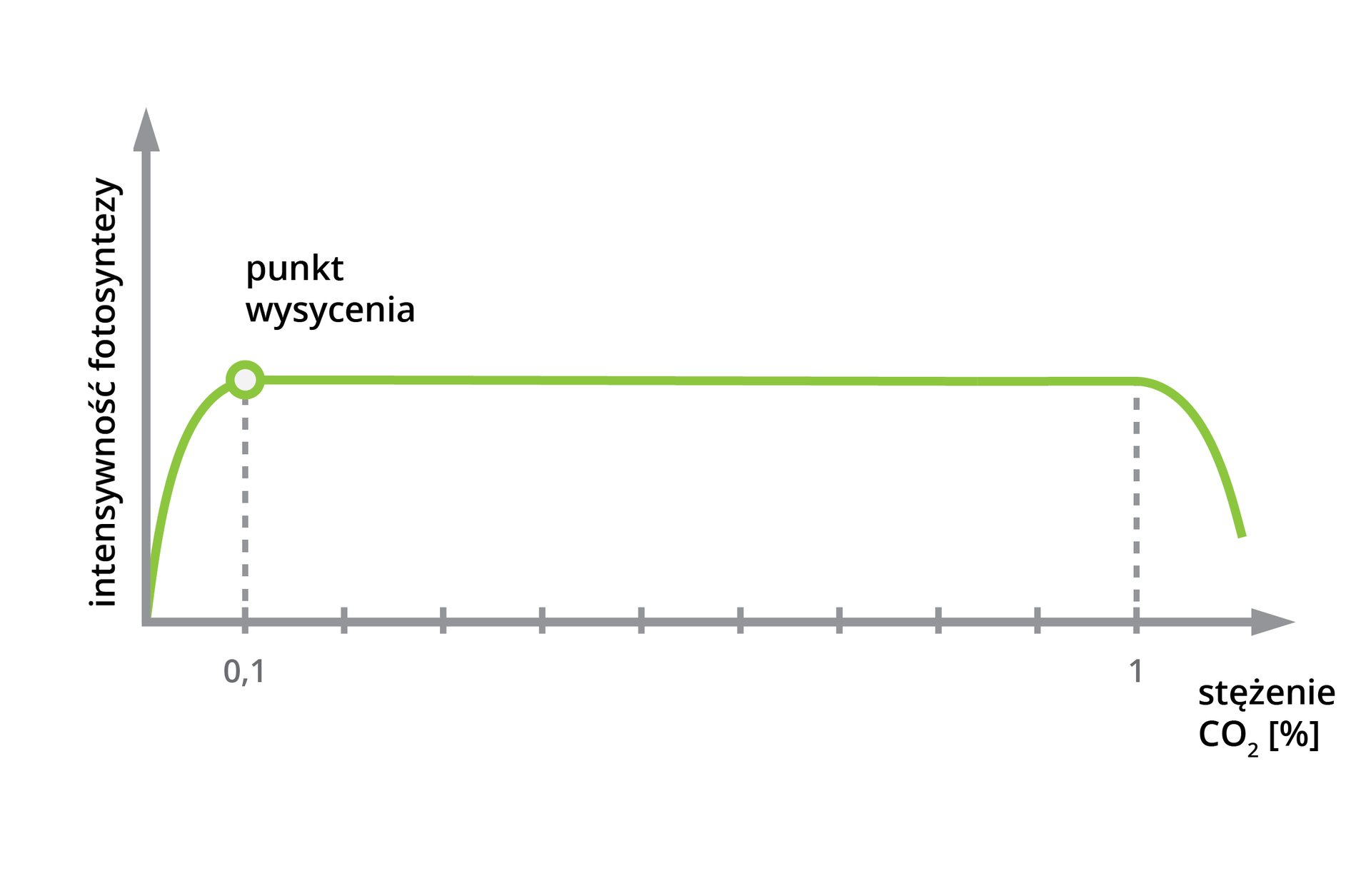Wykres przedstawia zależność intensywności fotosyntezy, oś y, od stężenia dwutlenku węgla w atmosferze, oś x. Intensywność fotosyntezy wzrasta wraz ze wzrostem stężenia dwutlenku węgla. Po osiągnięciu punktu wysycenia dla 0,1% dwutlenku węgla intensywność fotosyntezy otrzymuje się na stałym poziomie. Po osiągnięciu stężenia dwutlenku węgla o wartości 1%, intensywność fotosyntezy zaczyna spadać.