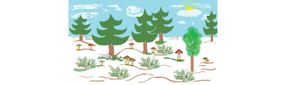 Ilustracja przedstawiająca las z grzybami