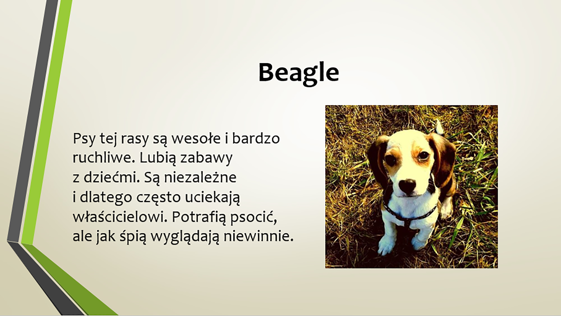 Zrzut slajdu z fotografią
