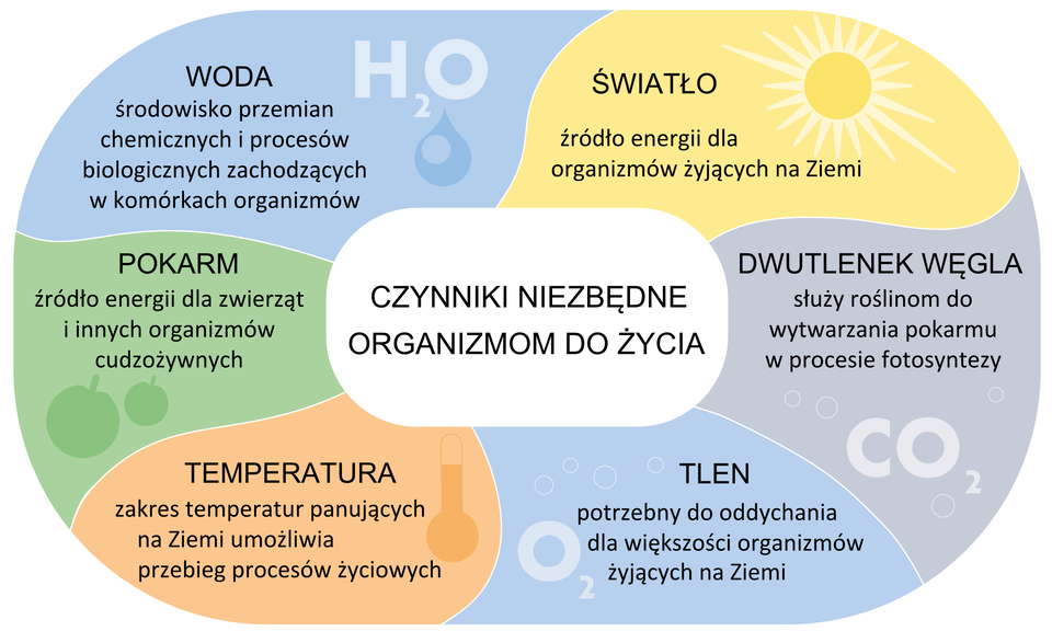 Ilustracja przedstawia schemat, podzielony na sześć części w różnych kolorach. W każdej z części jest opisany jeden czynnik, niezbędny organizmom do życia. W lewym górnym rogu na błękitnym tle widać napis WODA i symbol H2O. Woda jest środowiskiem przemian chemicznych i procesów biologicznych. Dalej w prawo na żółtym tle jest rysunek słońca i napis ŚWIATŁO. Jest ono źródłem energii dla organizmów żyjących na Ziemi. Niżej znajduje się jasno fioletowe pole z napisem DWUTLENEK WĘGLA i symbolem CO2. Ten gaz służy roślinom do wytwarzania pokarmu w procesie fotosyntezy. W prawym dolnym rogu schematu na niebieskim tle widać napis TLEN i symbol O2. Tlen jest potrzebny większości organizmów do oddychania. W lewym dolnym rogu na różowym tle znajduje się napis TEMPERATURA i rysunek termometru. Zakres temperatur na Ziemi umożliwia przebieg procesów życiowych. Wyżej, na zielonym tle znajduje się napis POKARM i dwa jabłka. Pokarm jest źródłem energii dla zwierząt i innych organizmów cudzożywnych. *