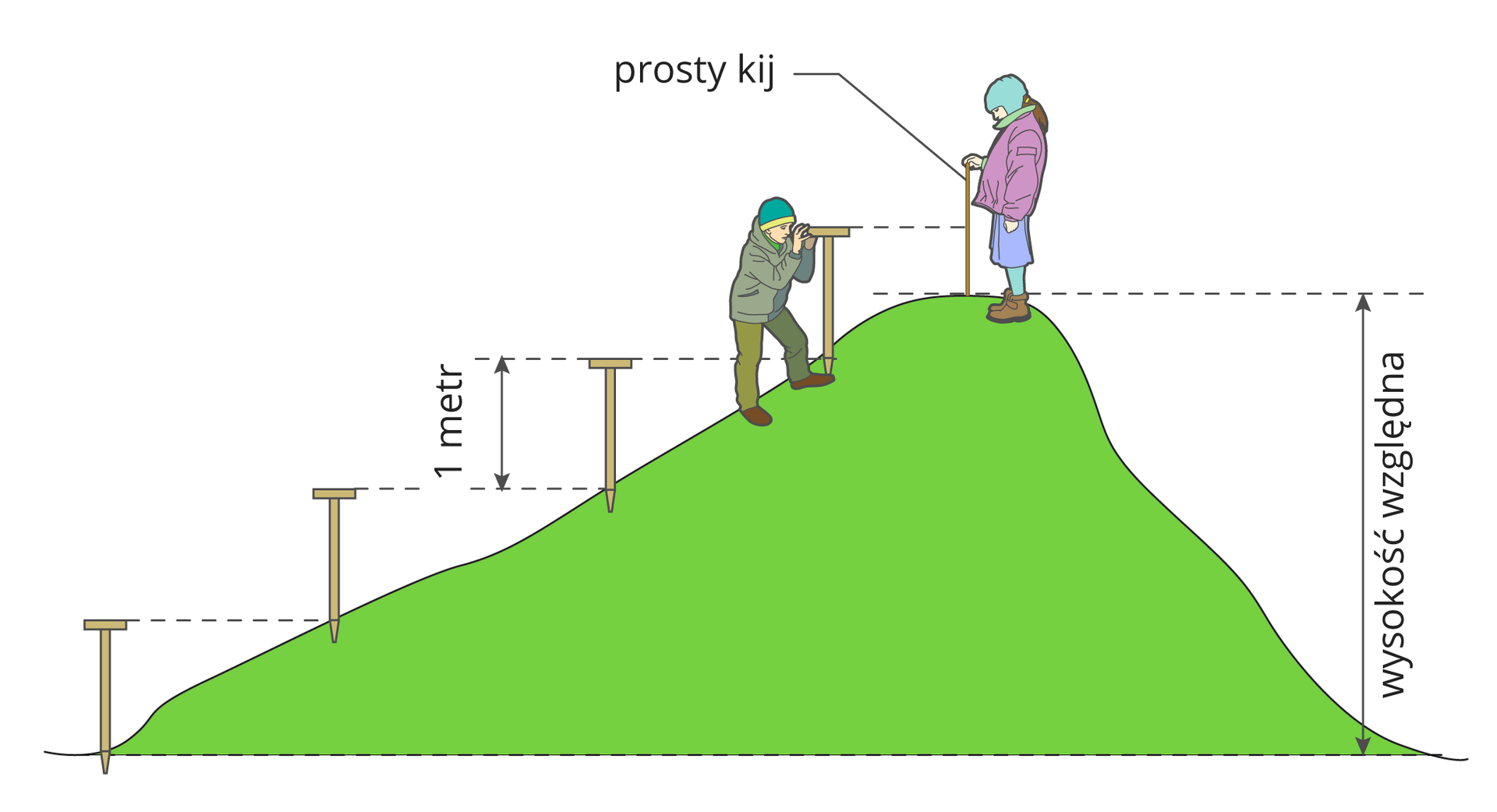 Ilustracja przedstawia pomiar wysokości względnej pagórka przy pomocy przyrządu nazywanego niwelatorem. Na ilustracji zaznaczono liniami przerywanymi kolejne poziomice wysokości jednego metra, wyznaczone za pomocą niwelatora.
