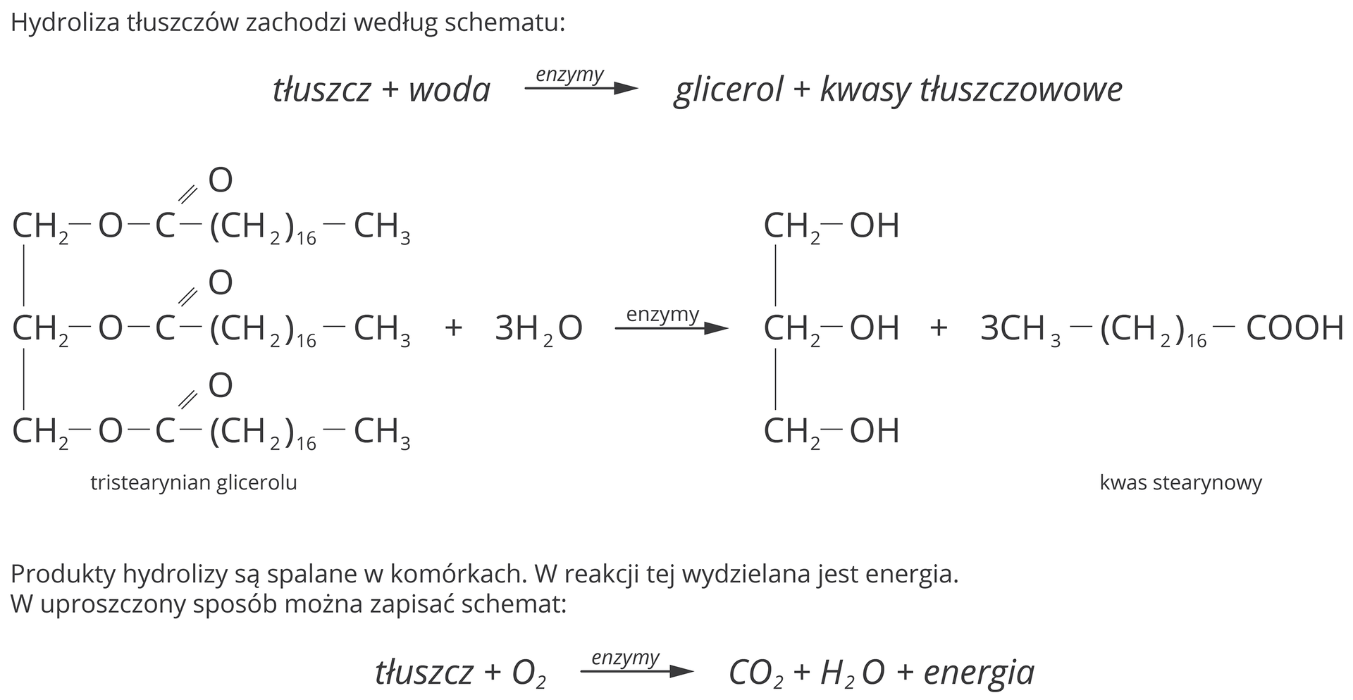 Hydroliza tłuszczów