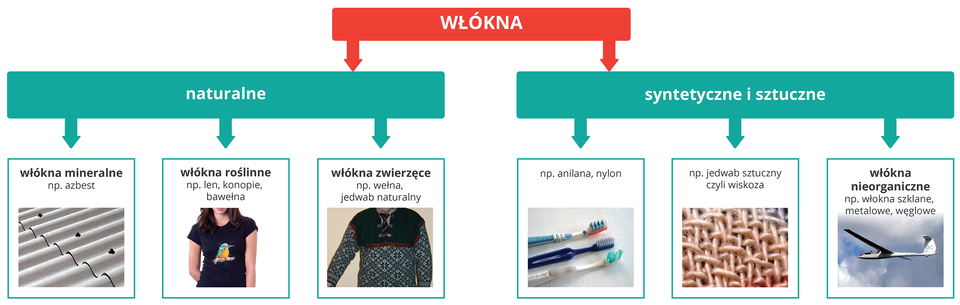 Rodzaje włókien