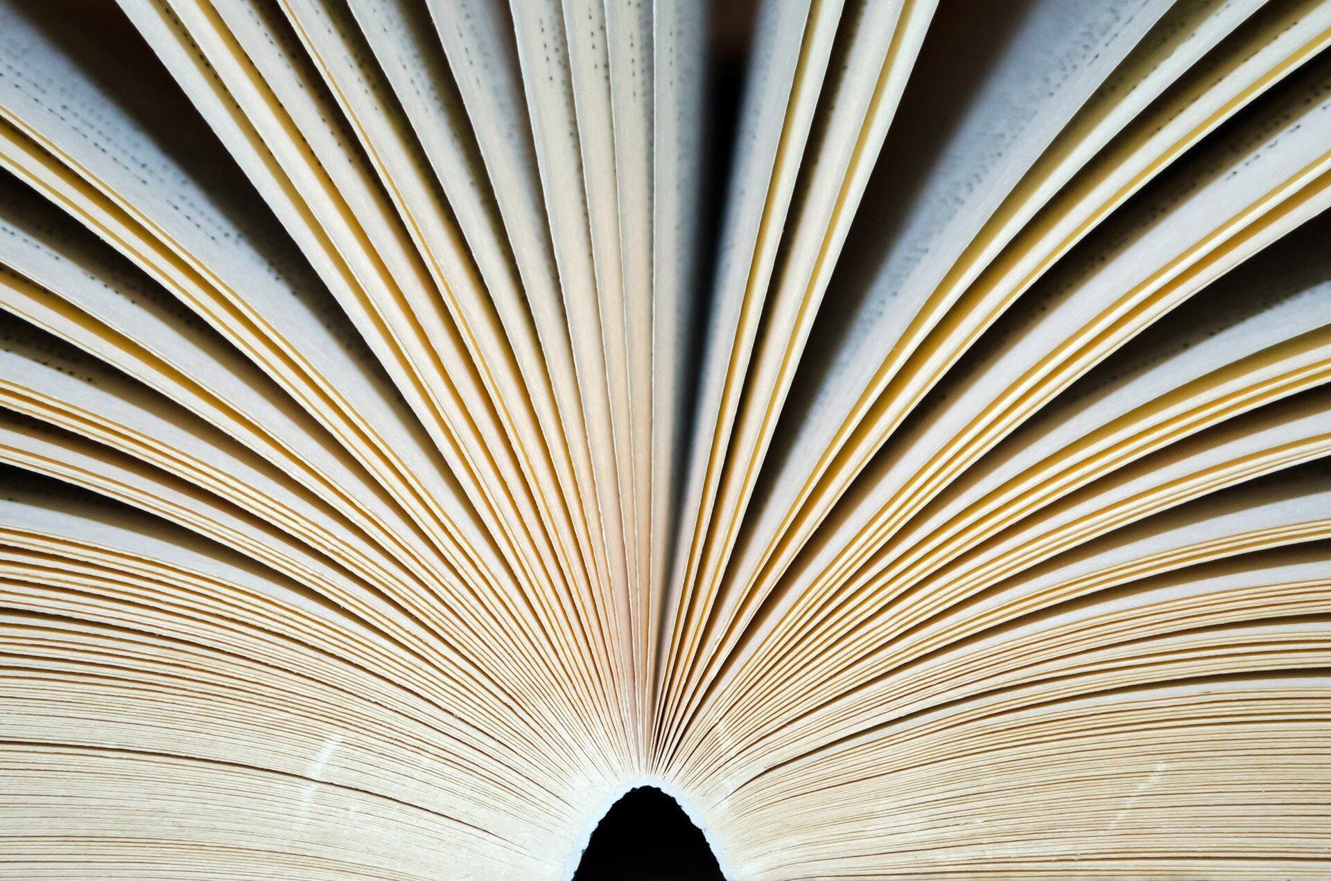 Okładka - zdanie złożone współrzędnie... Źródło: pixabay, licencja: CC 0.