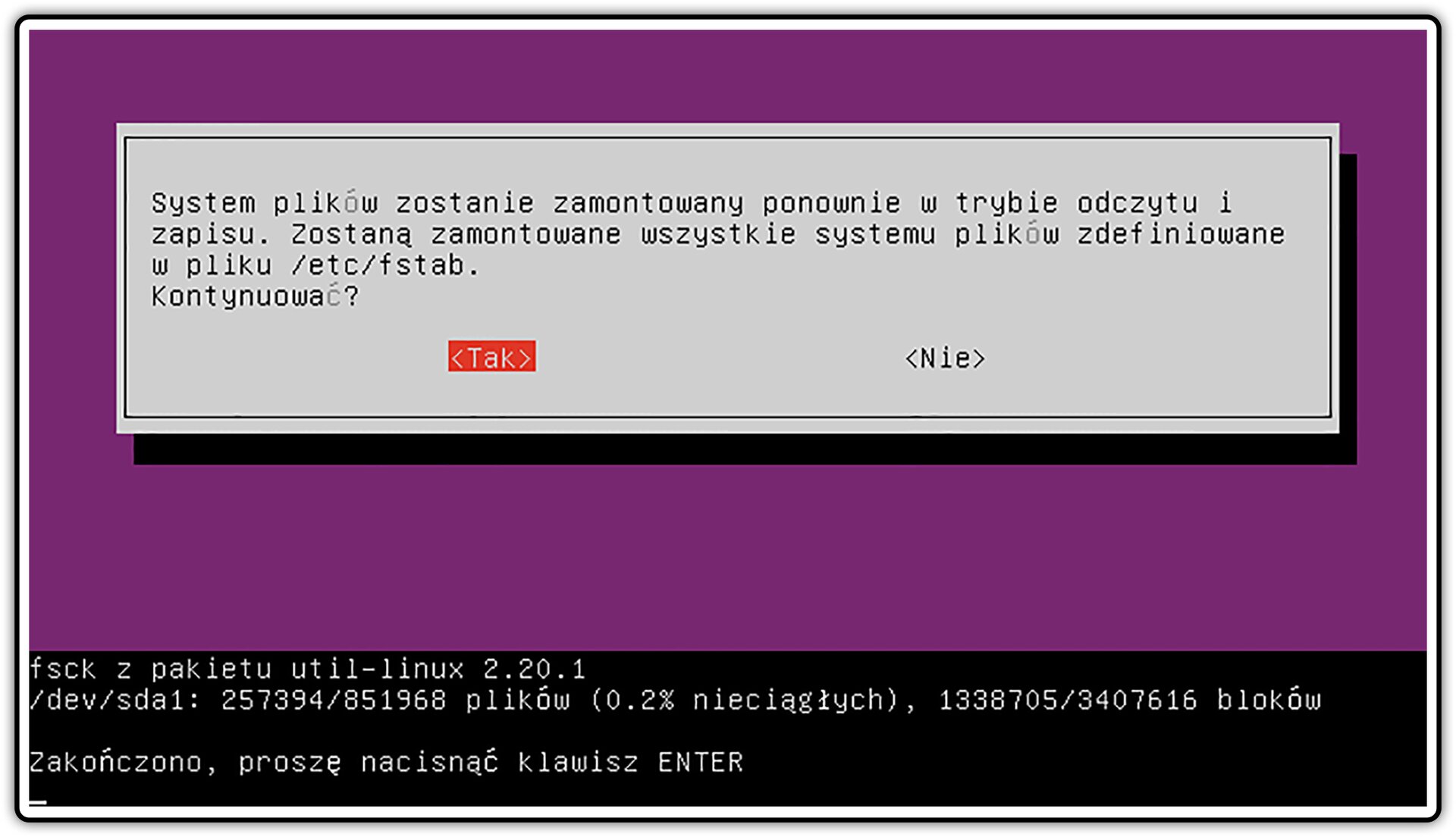 Ilustracja przedstawiająca okno procesu sprawdzania poprawności zapisu wszystkich plików systemu w systemie Linux Ubuntu