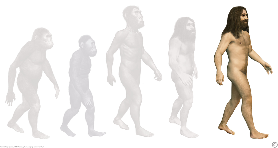Homo sapiens Homo sapiens Źródło: Contentplus.pl sp. z o.o., Sol90, tylko do użytku edukacyjnego na epodreczniki.pl.