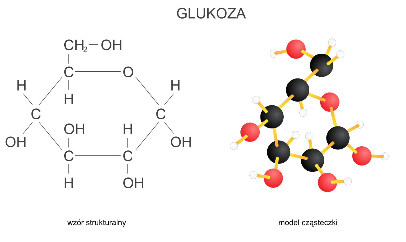 Budowa glukozy