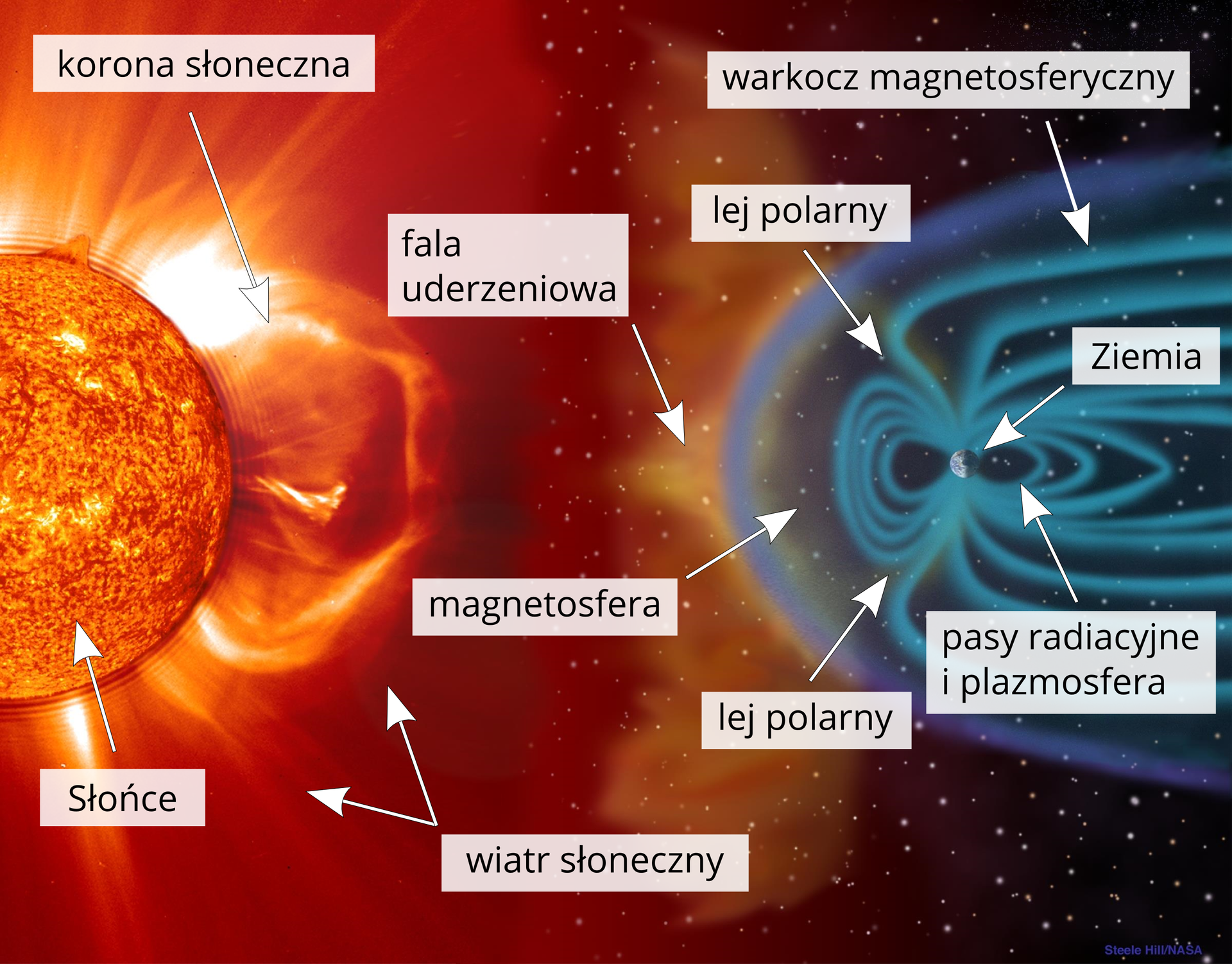 Ilustracja przedstawia magnetosferę. Po lewej stronie fragment Słońca. Powierzchnia w kolorze żółtym i czerwonym. Słońce emituje naładowane cząstki o wysokiej energii. Wokół powierzchni Słońca znajduje się korona słoneczna. Żółta korona słoneczna to promienie i obłoki naładowanych cząstek. Cząsteczki to wiatr słoneczny. Na prawo, pomiędzy Słońcem i Ziemią, znajduje się magnetosfera. Po prawej stronie ilustracji magnetosfera otacza Ziemię, tworząc wokół niej ochronny kokon. W ten niebieski kokon uderza wiatr słoneczny w postaci żółtopomarańczowego obłoku. To fala uderzeniowa. Wokół Ziemi z jej biegunów rozchodzą się błękitne kręgi. Po lewej i prawej stronie Ziemi kręgi tworzą owalne pasy. Kręgi różnią się rozmiarami. Mniejsze są ułożone równolegle do siebie wewnątrz większych kręgów. Kręgi rozchodzą się falami. Tworzą pole magnetyczne. Po lewej stronie Ziemi, od strony Słońca wszystkie kręgi są zamknięte, a po prawej te, które znajdują się na zewnątrz, nie są domknięte, ich ramiona biegną od biegunów dalej w stronę prawą, aż do granic ilustracji. To warkocz magnetosferyczny.