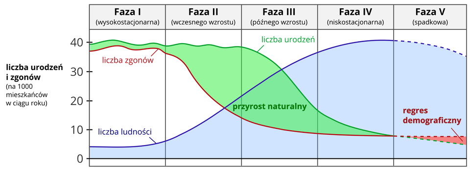 Na ilustracji wykres. Na osi pionowej z lewej strony wartości od zera do czterdziestu podpisane jako liczba urodzeń i zgonów na tysiąc mieszkańców w ciągu roku. Na osi poziomej wykres podzielony na pięć równych pasów. Na górze podpisane pięć faz. Wykres przedstawia zmiany współczynnika urodzeń i zgonów. Faza pierwsza – liczba urodzeń wyrównuje się z liczbą zgonów. Faza druga – zmniejszenie liczby zgonów. Faza trzecia – na początku tej fazy przyrost jest duży i maleje wraz z dążeniem do kolejnej fazy. Faza czwarta – liczba zgonów jest niewielka. Faza piąta – przyrost zmniejsza się do liczby zgonów, a pod koniec fazy liczba zgonów przewyższa urodzenia. Przyrost naturalny ujemny.