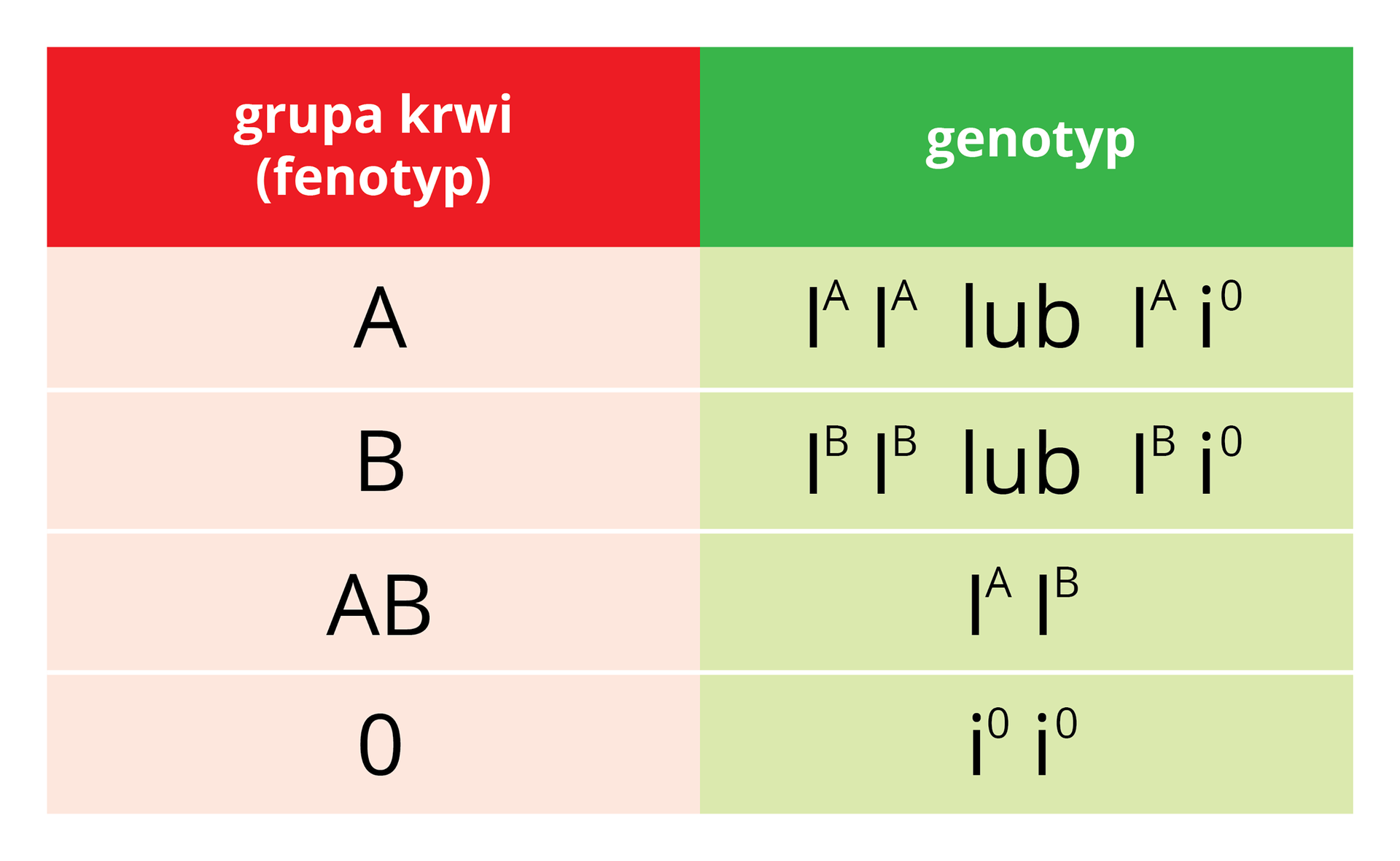 Ilustracja przestawia schematycznie dziedziczenie grupy krwi uczłowieka. Z lewej kolumna czerwona, tytuł grupa krwi (fenotyp). Z prawej kolumna zielona tytuł genotyp. Pierwszy wiersz grupa A, genotypy IA, IA lub IA, i0. Drugi wiersz grupa B, genotypy IB, IB lub IB, i0. Trzeci wiersz grupa AB, genotyp IA, IB. Ostatni wiersz grupa 0, genotyp recesywny i0,i0.