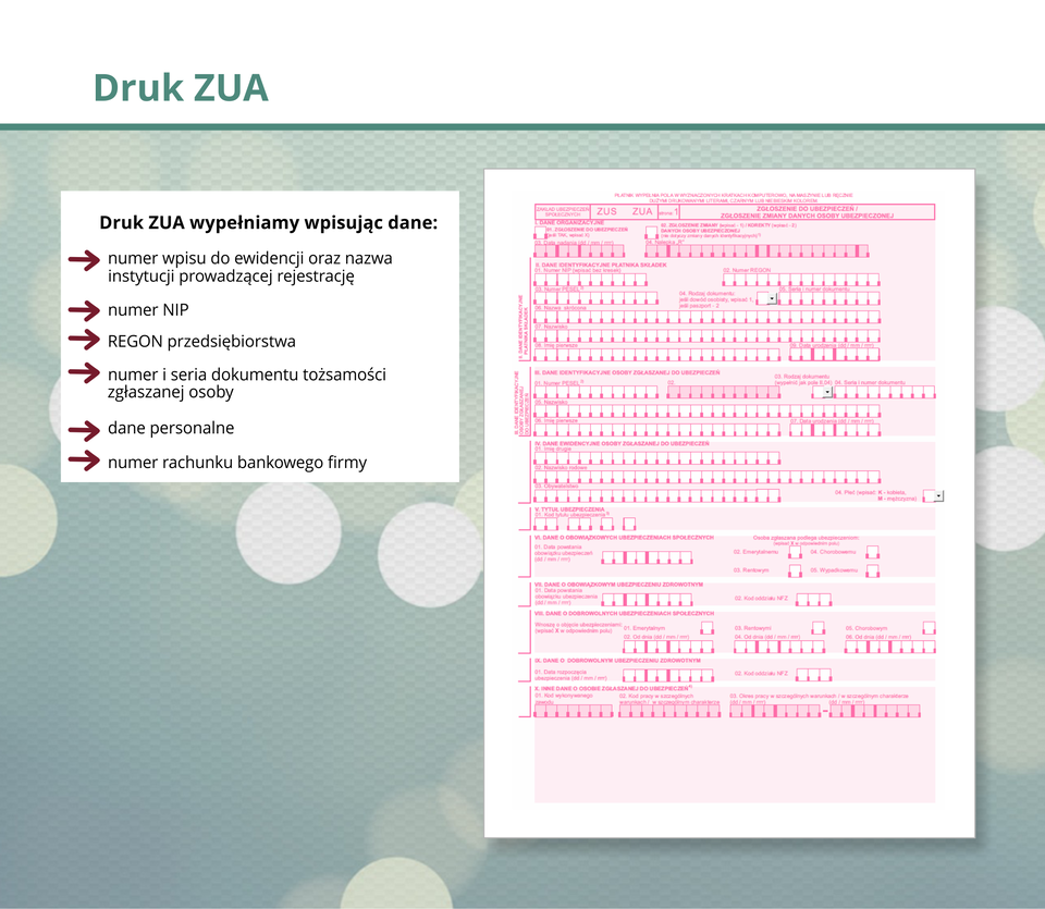Ilustracja przedstawia druk ZUA.